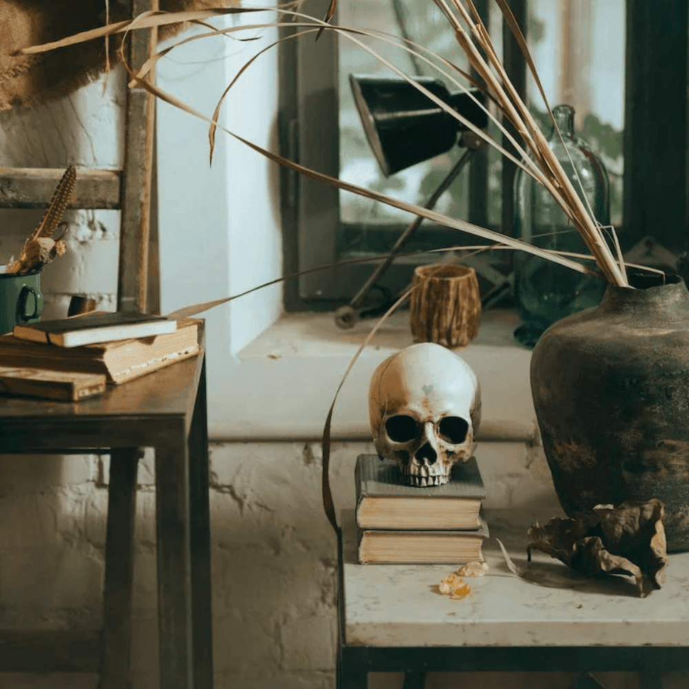 Table with books, a skull, and withered plants